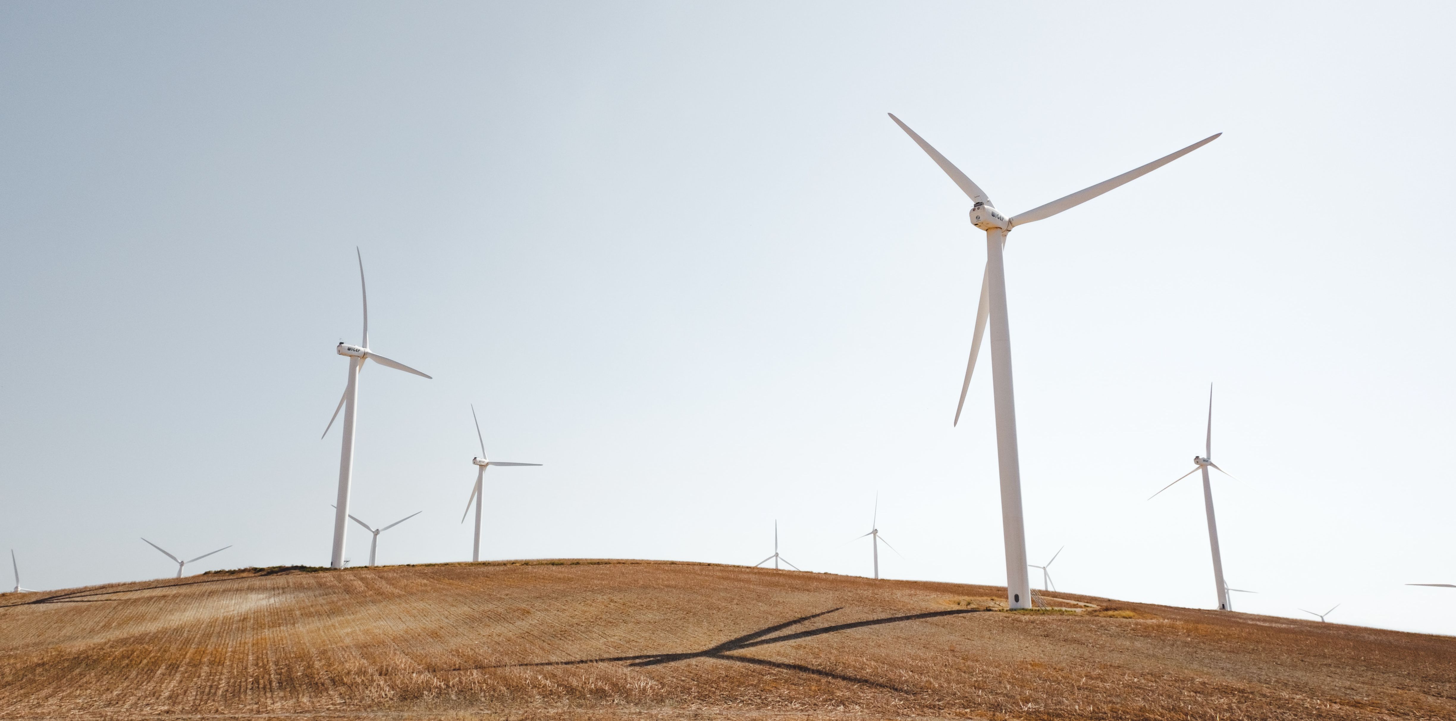 windfarm
